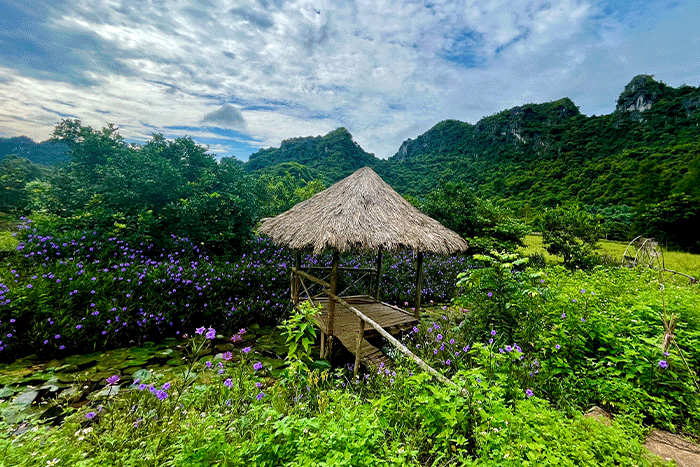 One corner of Viet Hai fishing village